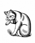 Cat Kitten Hangover Clipart
