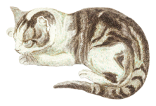 Gattino gatto dipinto vecchio