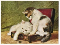 Macskák vintage illusztráció művészet