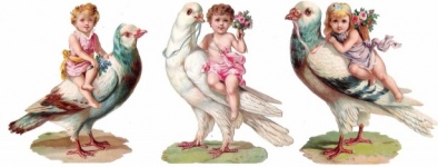 Dětské holuby vintage umění