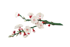 Arte vintage de rama de flor de cerezo