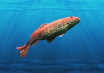 Imagini de fundal de apă de pește de cra