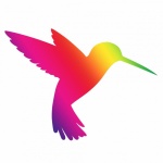 Hummingbird clipart rainbow colors