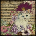 Persian Floral Music Cat