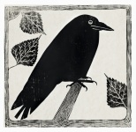 Ilustração vintage de corvo corvo