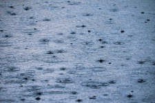 Zdjęcie powierzchni wody w kroplach desz