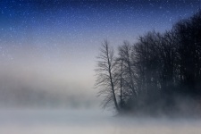 Lake fog trees mystical