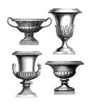 Vases, vieux, vendange, illustration