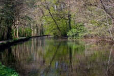 Pond, Reflection, Nature