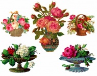 Flori de epocă victoriane vechi