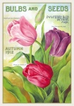 Vintage kwiatowy katalog ogrodowy