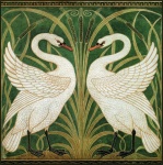 Cisnes antigos de ilustração vintage