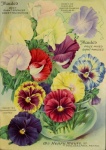 Vintage vetőmag virág katalógus