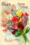 Catálogo de jardim de sementes vintage