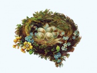 Vogelnest eieren bloemen vintage