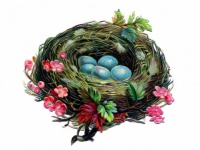 Cuib de păsări ouă flori vintage