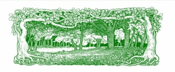 Ilustrație de epocă cu copaci de pădure