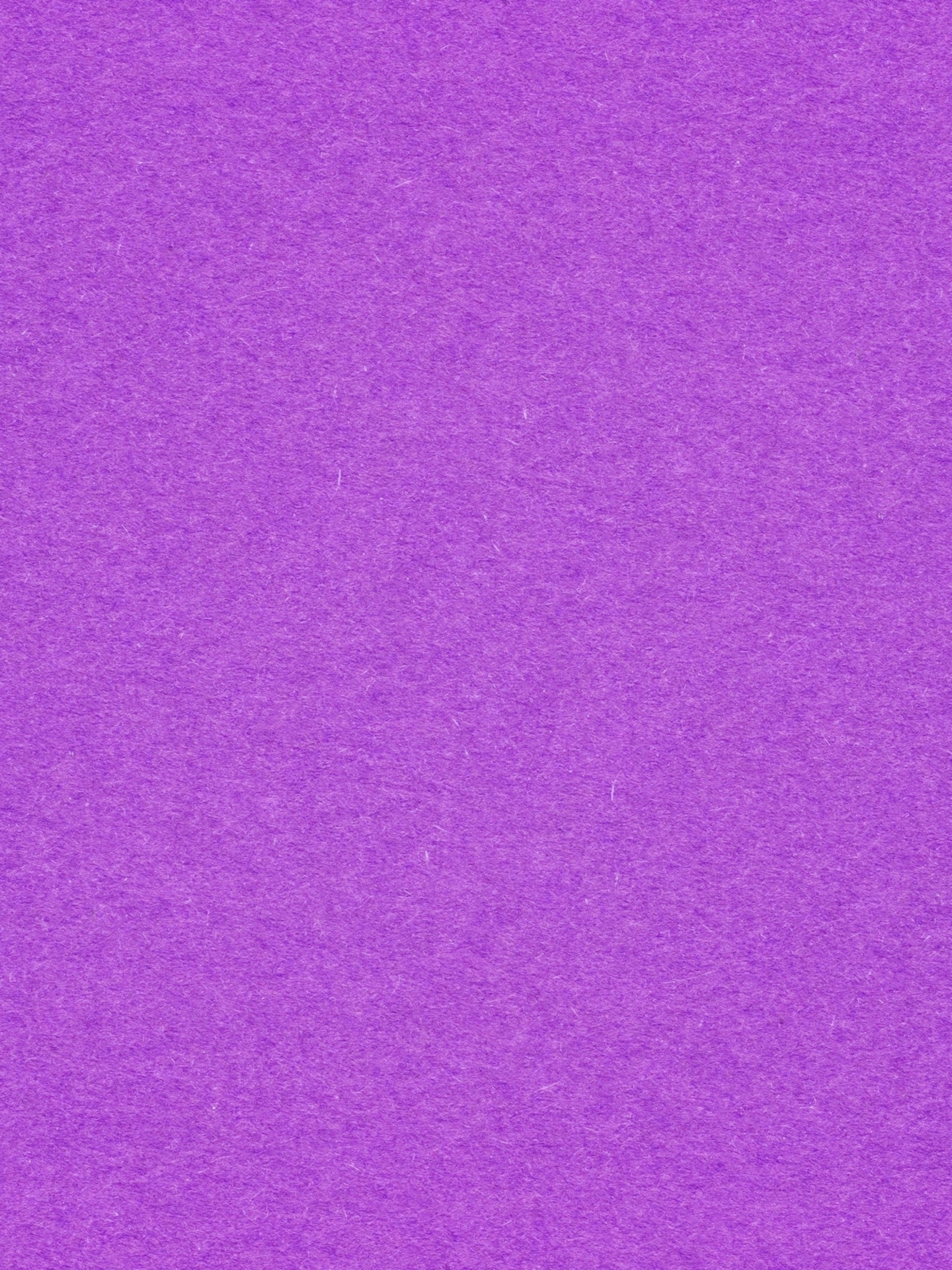 白色背景里的紫色花束图片素材_免费下载_jpg图片格式_高清图片568632_摄图网