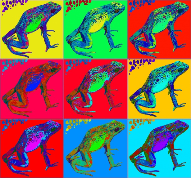 カエルのカラフルなグリッド 無料画像 Public Domain Pictures