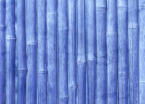 Bamboo background nature texture