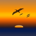 Ptaki latające nad zachodzącym słońcem