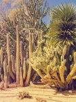 Cactussen op een warme dag