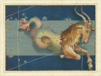 Capricorn Vintage Zodiac Art
