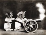 Foto vintage vestida de gato