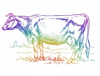 Clipartów ilustracja wołowiny krowy