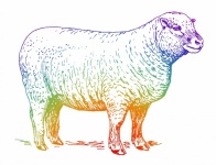 Clipartów ilustracja sztuki owiec