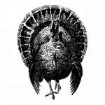 Clipart turkey illustration
