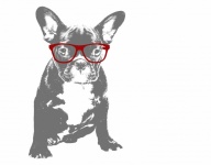 Pes v brýlích ilustrace