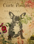 Cartão postal floral vintage de cachorro