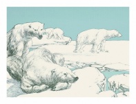 Polar Bear Polar Bear Vintage Art