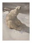 Oso polar oso polar arte vintage