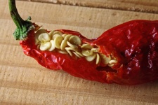Half Eaten Ripe Red Chili With Seed