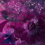 Fairy Flower And Star Collage