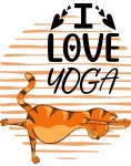 Yoga katt kärlek