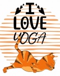 Yoga cat love