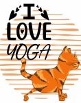 Yoga katt kärlek