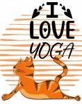 Yoga cat love