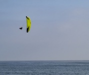 Kite surfer