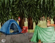 Animais visitando o acampamento