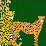 Gepard koty