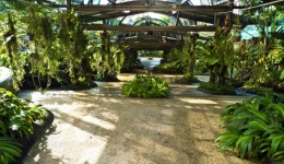 Botanická zahrada KL 3