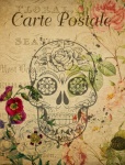 Skull Vintage Floral Postcard