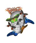 Skull With Butterflies Art
