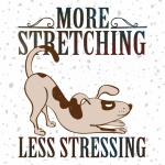 Stretching Yoga Dog