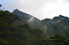 Taiwan Mountain Scenes 67