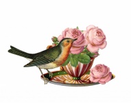 Filiżanka, Ptak, Róże, Vintage